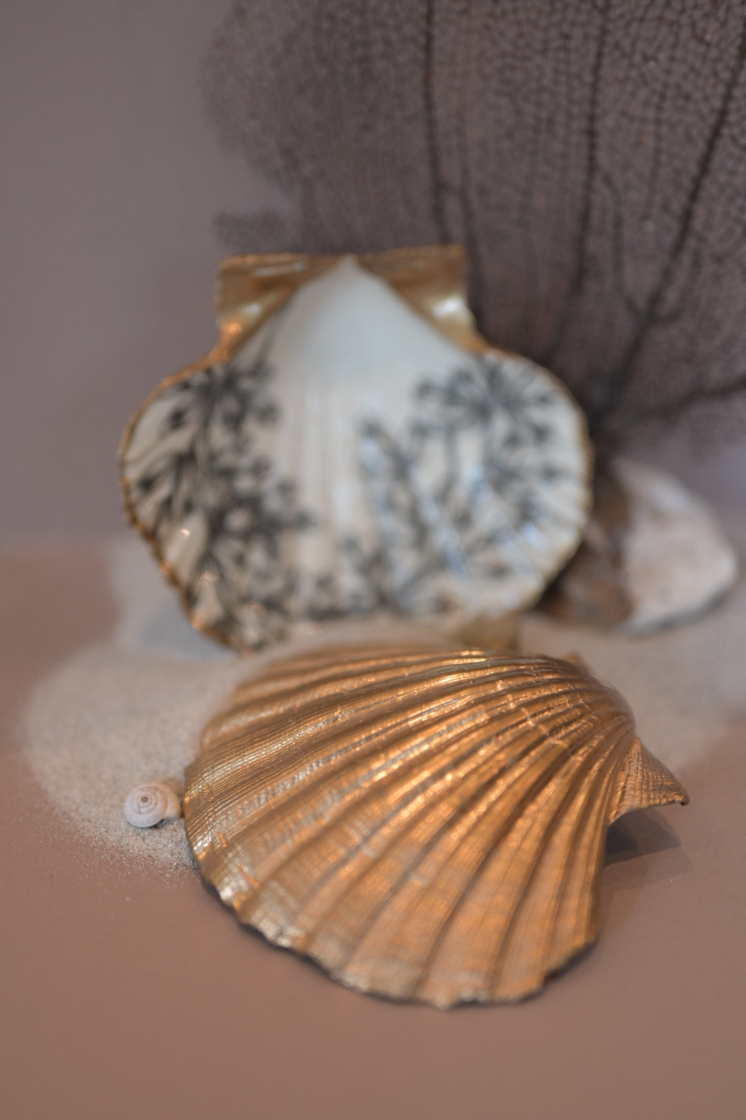 Strandgut - Schmuckschalen Jakobsmuschel