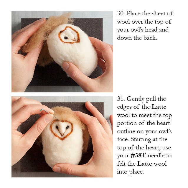 Grey Fox felting- Nadelfliz DIY Kit Schleiereule